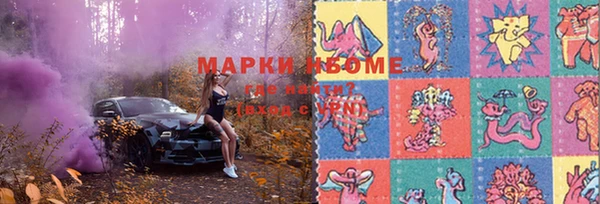 ECSTASY Новодвинск