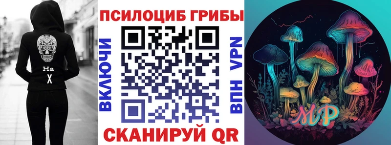 где можно купить   мега рабочий сайт  Галлюциногенные грибы мухоморы  Черкесск 