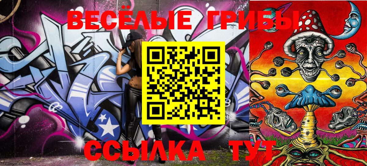 Псилоцибиновые грибы MAGIC MUSHROOMS Черкесск