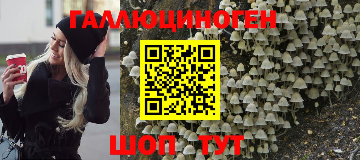 Псилоцибиновые грибы Psilocybe  Псилоцибиновые грибы ЛСД  Черкесск 